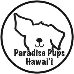 Paradise Pups Hawai'i